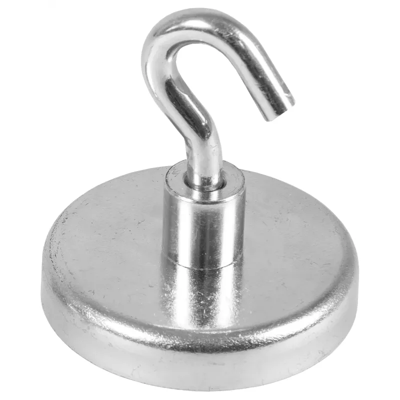 Eichner ganci magnetici argento, metallo Ø 3,6 x 1,7 cm, 5 pezzi