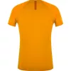 SALEWA Wild Country Session 2 t-shirt - Nectar - taglia L