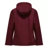 Salewa Puez Aqua 4 PTX 2.5L giacca donna - Syrah, XS