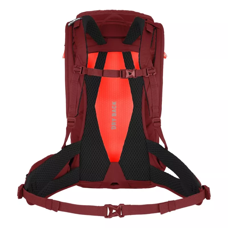 SALEWA Alp Trainer 20 Zaino donna Syrah