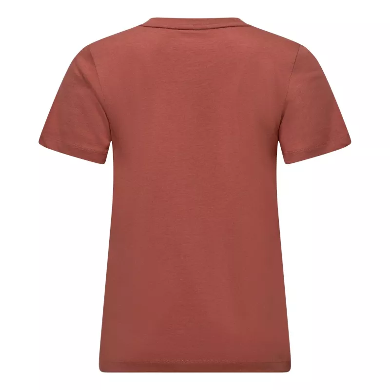 T-shirt donna Salewa Eagle - Etruscan Red XS