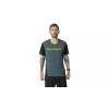 SALEWA Dynafit Alpine 2 S/S Tee T-shirt da running - Cinder (taglia S)