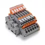 WAGO 2007-8875 Morsetto per guida DIN per trasformatori di corrente, 1 polo, grigio, Push-in CAGE CLAMP, 41 A, 1000 V