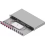 ZVK Easylan cassetto di giunzione fibra ottica Basic LSB1A114 1U 6x SC-Duplex OM4 RAL7035