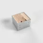 BEP24 Torretta a pavimento 2x Schuko (tipo F) argento acciaio inox