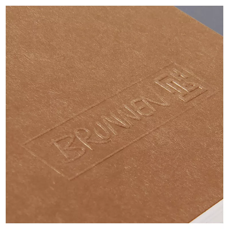 BRUNNEN FACT!plus quaderno A4 a quadretti 96 fogli marrone 104347270
