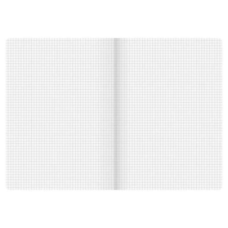 BRUNNEN FACT!plus quaderno A4 a quadretti 96 fogli marrone 104347270