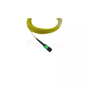 BlueOptics Cisco CB-M12-M12-SMF10M MPO-MPO Multi-Mode G.657.A1 Cavo Patch 10 Metri