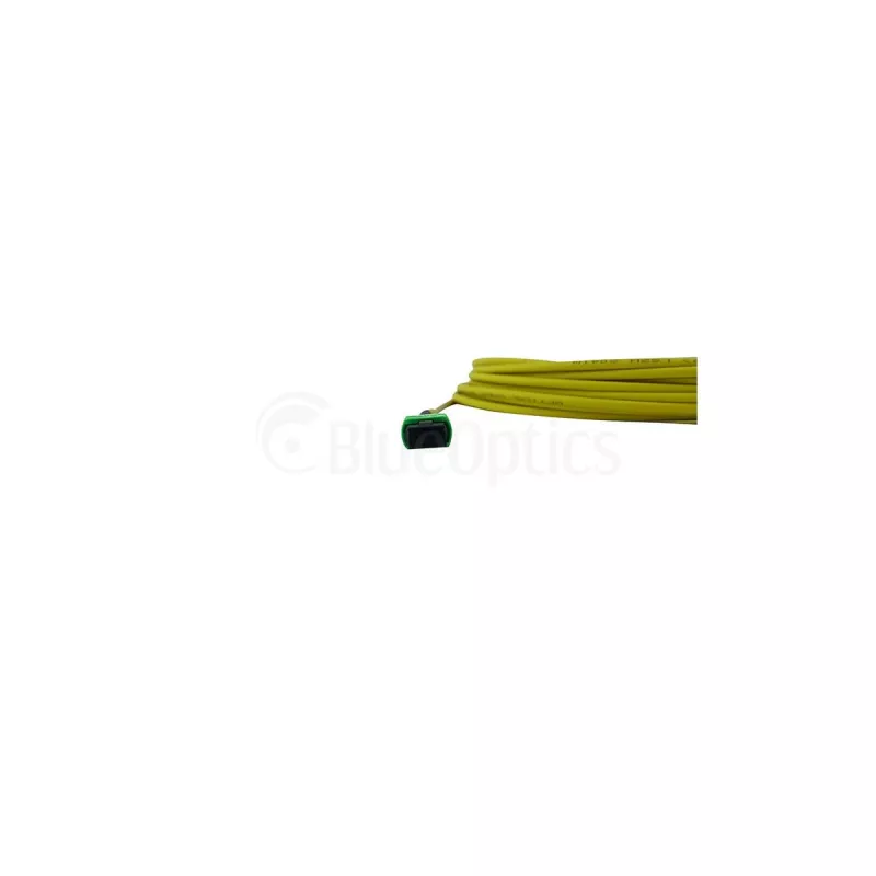 BlueOptics Cisco CB-M12-M12-SMF2M MPO-MPO Multi-Mode G.657.A1 Cavo Patch 2 Metri