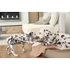 PALOPA Mathilda Coperta per cani Maple M