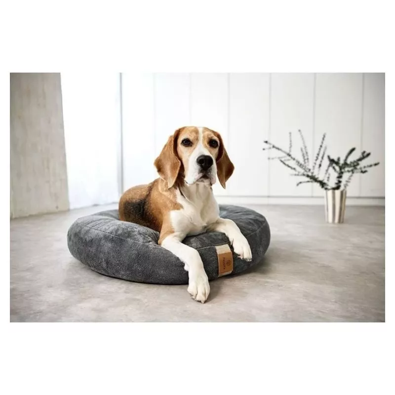 Palopa Fippa cuccia per animali M-L, antracite