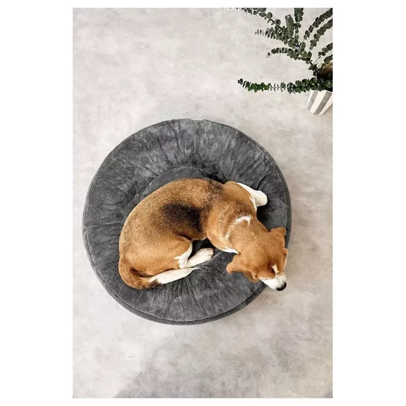 Palopa Fippa cuccia per animali M-L, antracite
