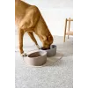 PALOPA Ciotola per cani in porcellana Cali Taupe