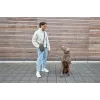 PALOPA 2 in 1 marsupio per snack per cani e portabottiglia Boudi Dark Olive