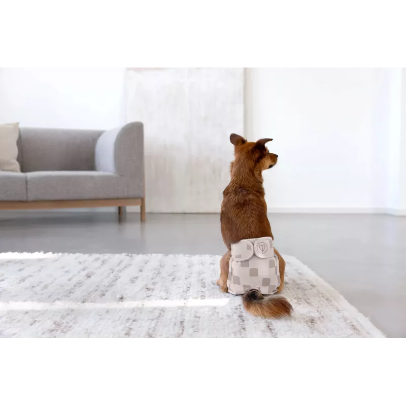 PALOPA pannolino riutilizzabile per cani per calore e incontinenza, Glan Taupe, taglia L