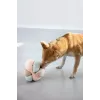 PALOPA palla olfattiva per cani giocattolo modulare Brino Mellow Pastels