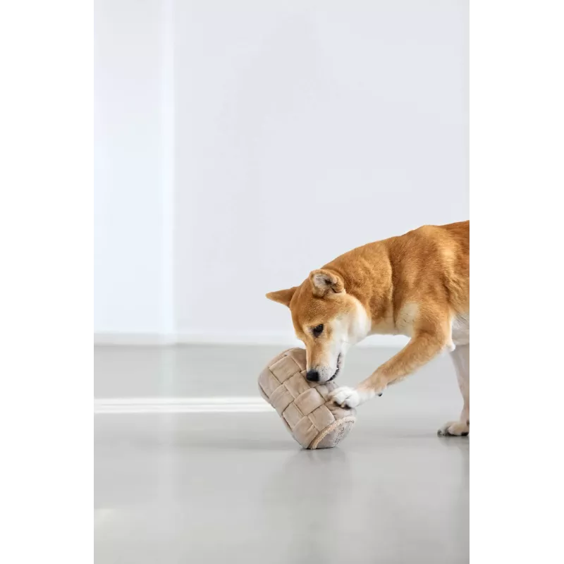 PALOPA Kalpi Out Milk giocattolo olfattivo per cani rullo cilindrico