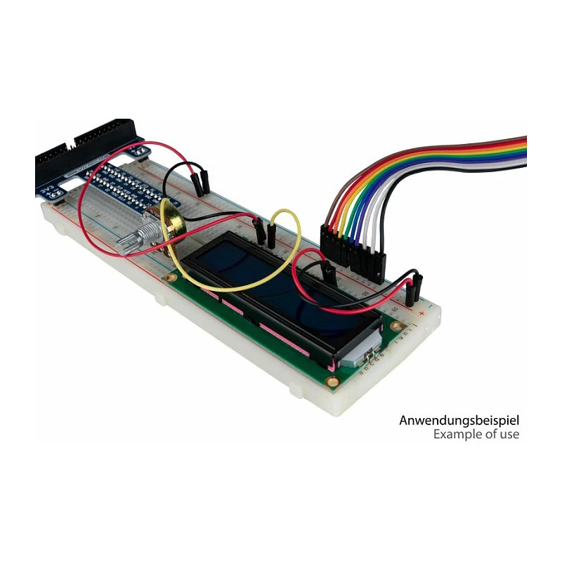 kabelmeister Jumper Wire 40 pin fili separabili per Arduino, Raspberry Pi ecc., maschio-femmina