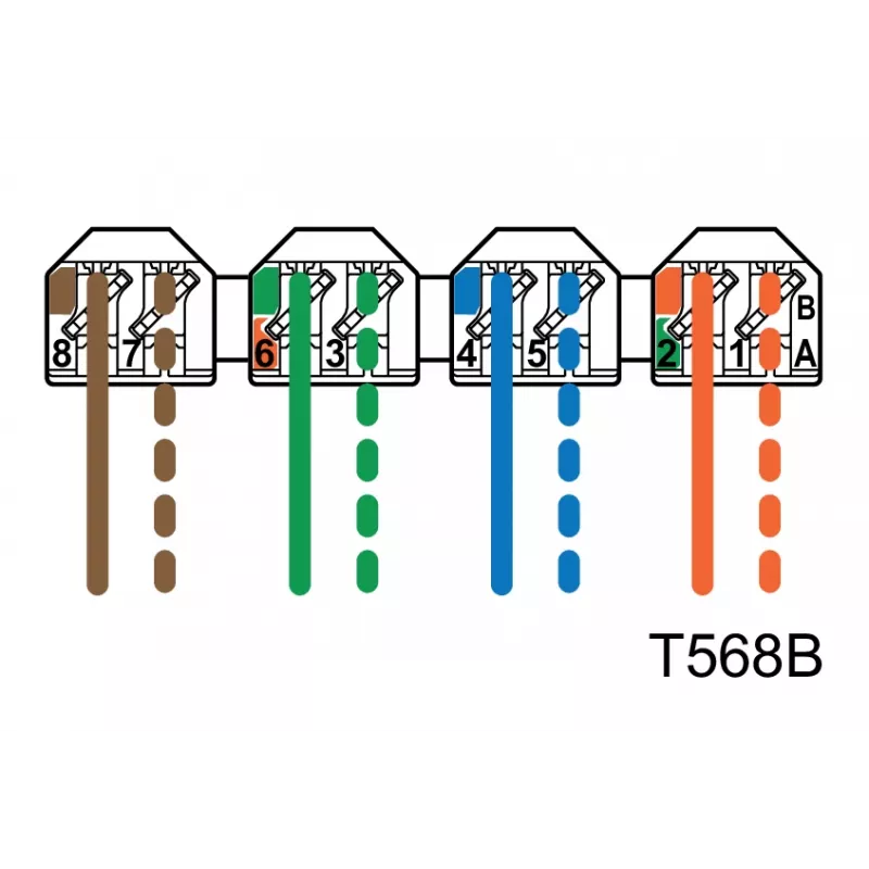 METZ CONNECT BTR E-DAT C6 6x8 AP Distributore patch panel - CAT 6 - STP - grigio - 1U - 19 pollici