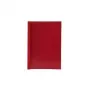 LMG Signaltechnologie 50 copertine per rilegatura termica LMG rosso