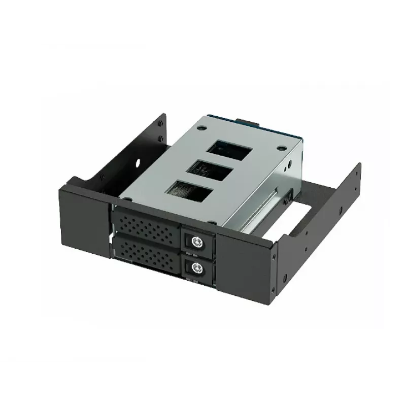 Jou Jye JJ-N-29SS15 Case esterno da 2,5