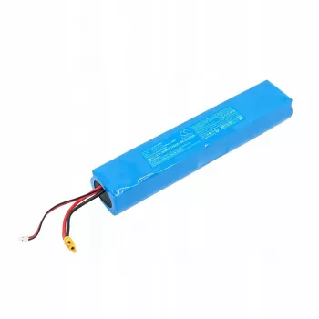 Cameron Sino batteria ricaricabile 9.774-978-0 per Karcher FCV 3 lavasciuga 2500mAh / CS-KFC300VX