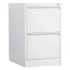 Phoenix Safe armadio per faldoni 2 cassetti grigio