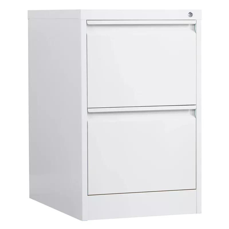 Phoenix Safe armadio per faldoni 2 cassetti grigio