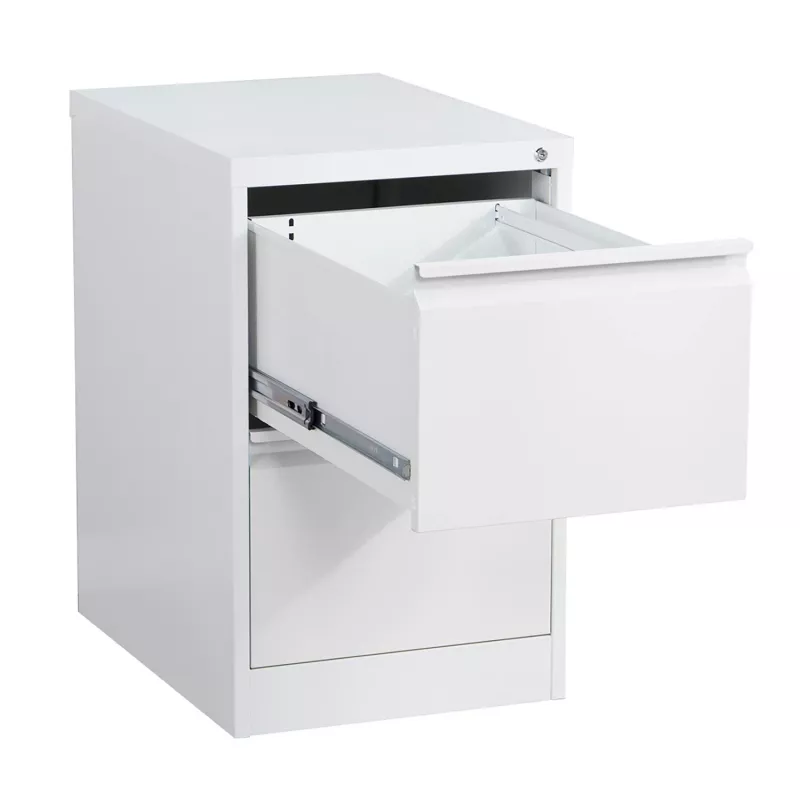Phoenix Safe armadio per faldoni 2 cassetti grigio