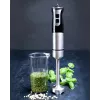 Gastronoma 18210001 Frullatore a immersione, 1000 W, nero/argento
