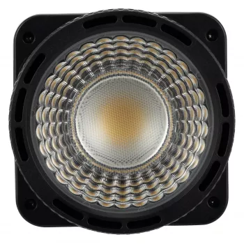 Kit paraluce e lente di messa a fuoco Mini Bowens Newell per lampada LED Tara