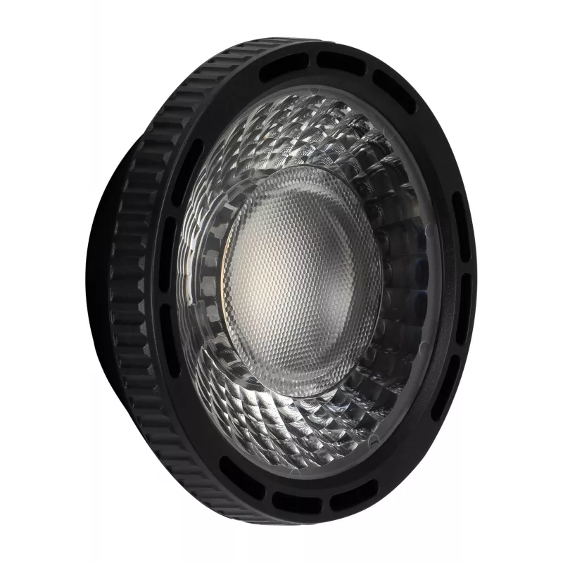 Kit paraluce e lente di messa a fuoco Mini Bowens Newell per lampada LED Tara