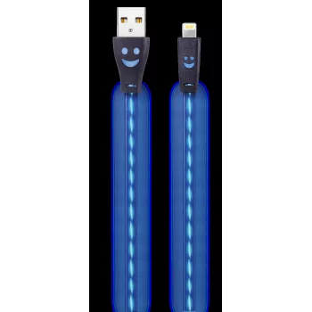 2GO 795536 Cavo USB-A a Lightning 1 m blu
