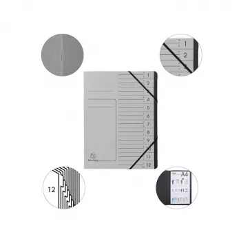Exacompta Cartella a 12 scomparti grigio Colorspan