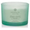 Chesapeake Bay Candle Balance & Harmony Candela profumata grande 3 stoppini 312 g