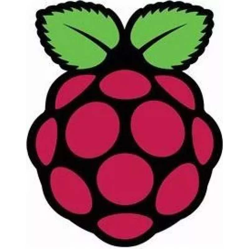 Raspberry Pi Pi - monitor LCD - 39,6 cm (15,6 pollici) - 1920 x 1080 Full HD (1080p)