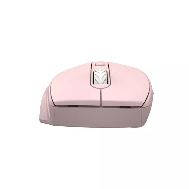 Canyon mouse ottico wireless 2.4 GHz 6 pulsanti, rosa