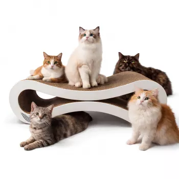 MOZOS KITTY-SPIKE Tiragraffi e cuccia per gatti, cartone, grande, 86 cm XXL