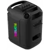 Tonsil Party Dance 800 diffusore Bluetooth portatile per feste con karaoke, LED disco, 80 W RMS, 2 woofer da 8 pollici, nero