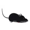 LEAN TOYS RC Mouse Toy - fai uno scherzo!