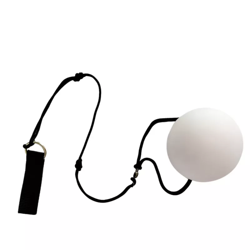 LEAN TOYS Palle da giocoleria fibra ottica LED 2 colori