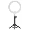 Newell LED Ring Light RL-10A Arctic White + treppiede