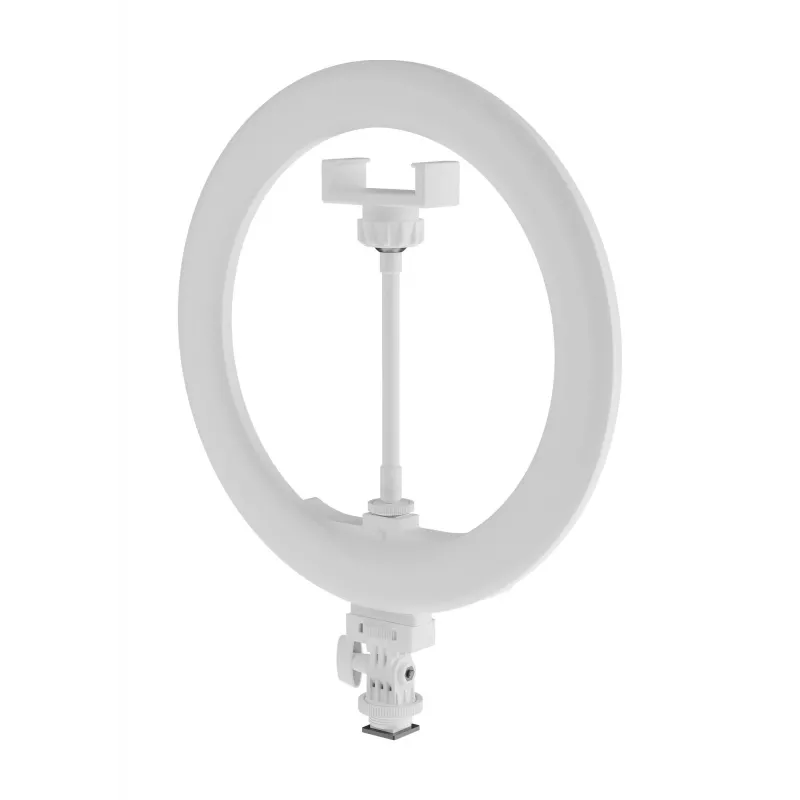 Newell LED Ring Light RL-10A Arctic White + treppiede