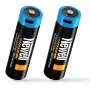Newell 21700 USB-C 5000 mAh Batteria ricaricabile Li-Ion (confezione da 2, blister)
