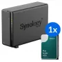 Synology DS124 + 1x HAT3310-12T (12TB) NAS desktop 1-Bay