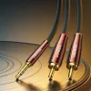UGREEN Cavo audio 2x RCA (Cinch) a 3,5 mm, 2 m, nero