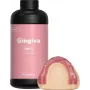 SHINING GM12 maschera gengivale dentale 1kg resina 3D