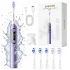 Dreame E10F Spazzolino Elettrico Sonico, Set, Viola