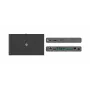 Kramer Electronics SWT3-21-HU-TR Extender switch USB-C/HDMI 2x1 4K@60Hz HDBaseT 3.0