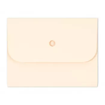 Cartella organizzativa ELCO Ordo Forte A4, 320 x 245 mm, 320 g/m², hellchamois, 25 pezzi (29494.41)